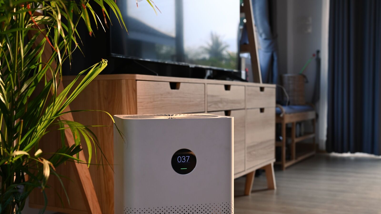 home-air-purifier-next-to-plants Air purification unit provided by Washburn Air.